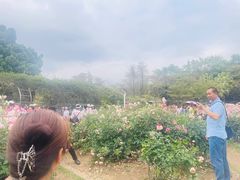 -人民公园(罗湖区)