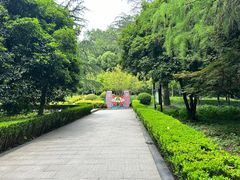 -上海佘山国家森林公园天马山园