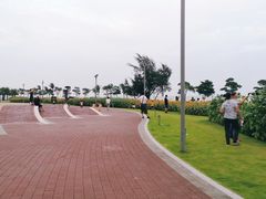 -野狸岛