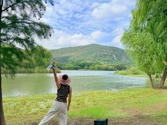 -长广溪湿地公园