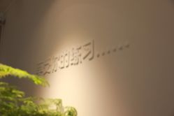 -闺蜜瑜伽·普拉提女性塑形馆