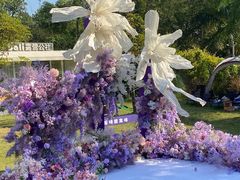 -芭厘农庄老字号·清远鸡
