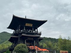 -大唐贡茶院
