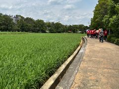 -韶山毛泽东同志故居