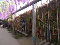 -呀路古热带植物园