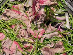 -梨花自助烤肉(西三旗万象汇黑金店)