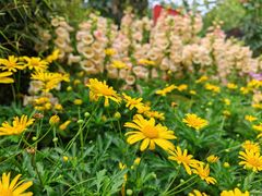 -人民公园(罗湖区)