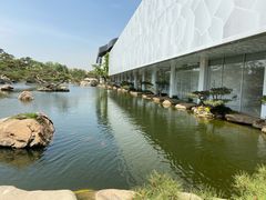 -罗红摄影艺术馆