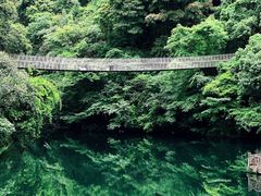 -天明山温泉大酒店