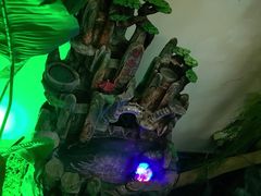-徽镇小厨·经典徽菜(马连道店)