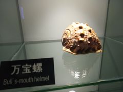 -泉城欧乐堡海洋极地世界