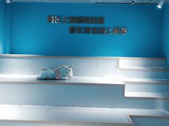 -上海失恋博物馆