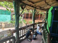 -长鹿旅游休博园