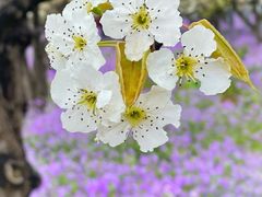 -江苏三台山国家森林公园