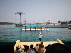 -秦皇岛乐岛海洋王国