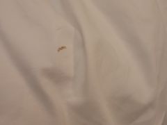 -如家酒店(成都春熙路太古里地铁站店)