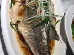 清蒸鲈鱼-多多旺港式茶餐厅(新区店)