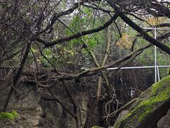 -寻龙山风景旅游区