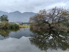 -大理洱源西湖景区