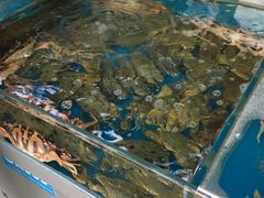 -清水湾3号(东方小周海鲜店)