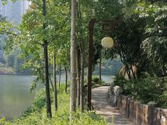 -重庆彩云湖湿地公园