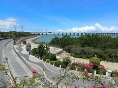 -宝安西湾红树林湿地公园