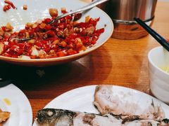 -饭怕鱼(阳光100店)