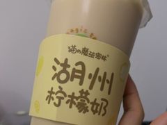 -猫的魔法密林(衣裳街店)