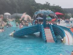 -重庆海昌加勒比海水世界