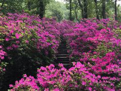 -南山风景名胜区