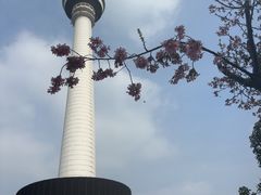 -龟山风景区-龟山电视塔