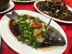 -先鲜鲫鱼粥