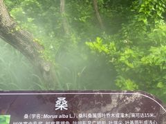 -江苏三台山国家森林公园