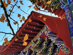 -遵化市禅林寺古银杏风景园