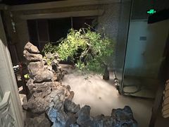 -北京宴(华贸购物中心店)