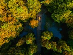 -桤木河湿地公园