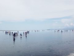 -青海湖国家重点风景名胜区