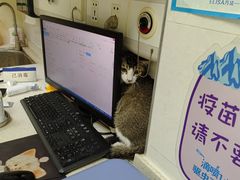 -芭比堂动物医院广州顽皮分院
