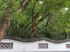 -上海佘山国家森林公园天马山园