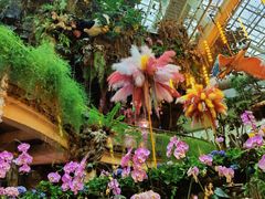 -正佳雨林生态植物园