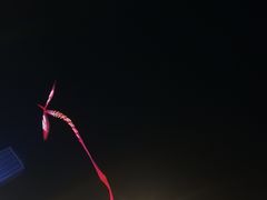 -华莱士·炸鸡汉堡(吉祥街店)