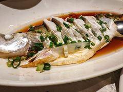 -金美华轩(东方路齐鲁店)