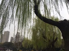 -堤角公园