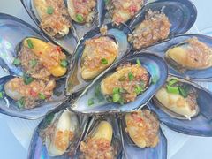 -魚當家