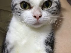 -创凡宠物医院·骨专科  猫科中心(西乡分院)