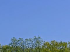 -嘉北郊野公园