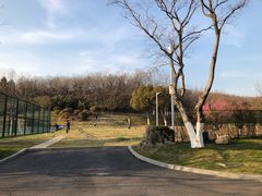 -羊山湖公园