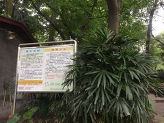 -晓港公园