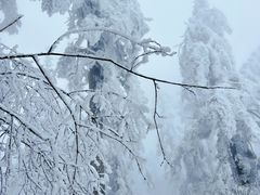 -瓦屋山景区