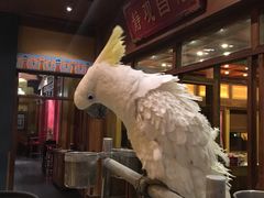 -那家小馆•北京菜•烤鸭(香山店)